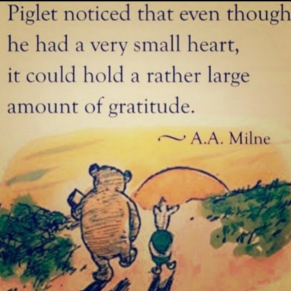 BRA SELF EXPRESSION BY MAIDENFORM STRAPLESS BRA SIZE 38 DD BRA - Picture 13 of 15